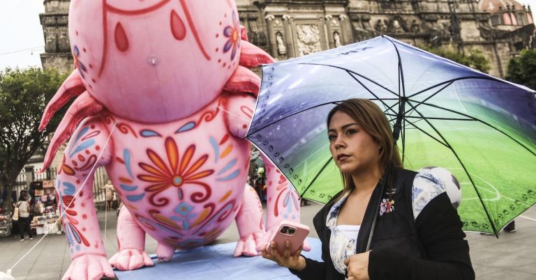 ud4b5doglrbwxit3pn7ealm2pe