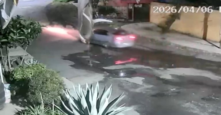 vlldf4towfhh3owezdfst52m3a