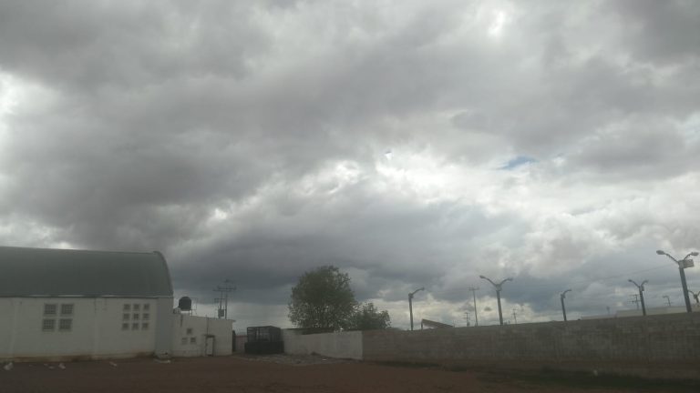 whatsapp20image202025-07-0220at203-11-5620pm