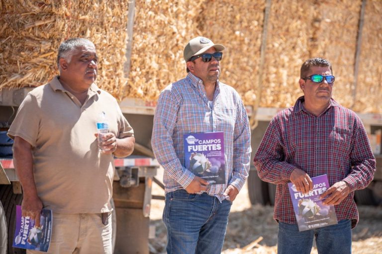 whatsapp20image202026-04-2220at2012-29-5820pm