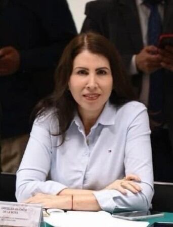 Gricelda Valencia de la Mora, militante de Morena por Colima