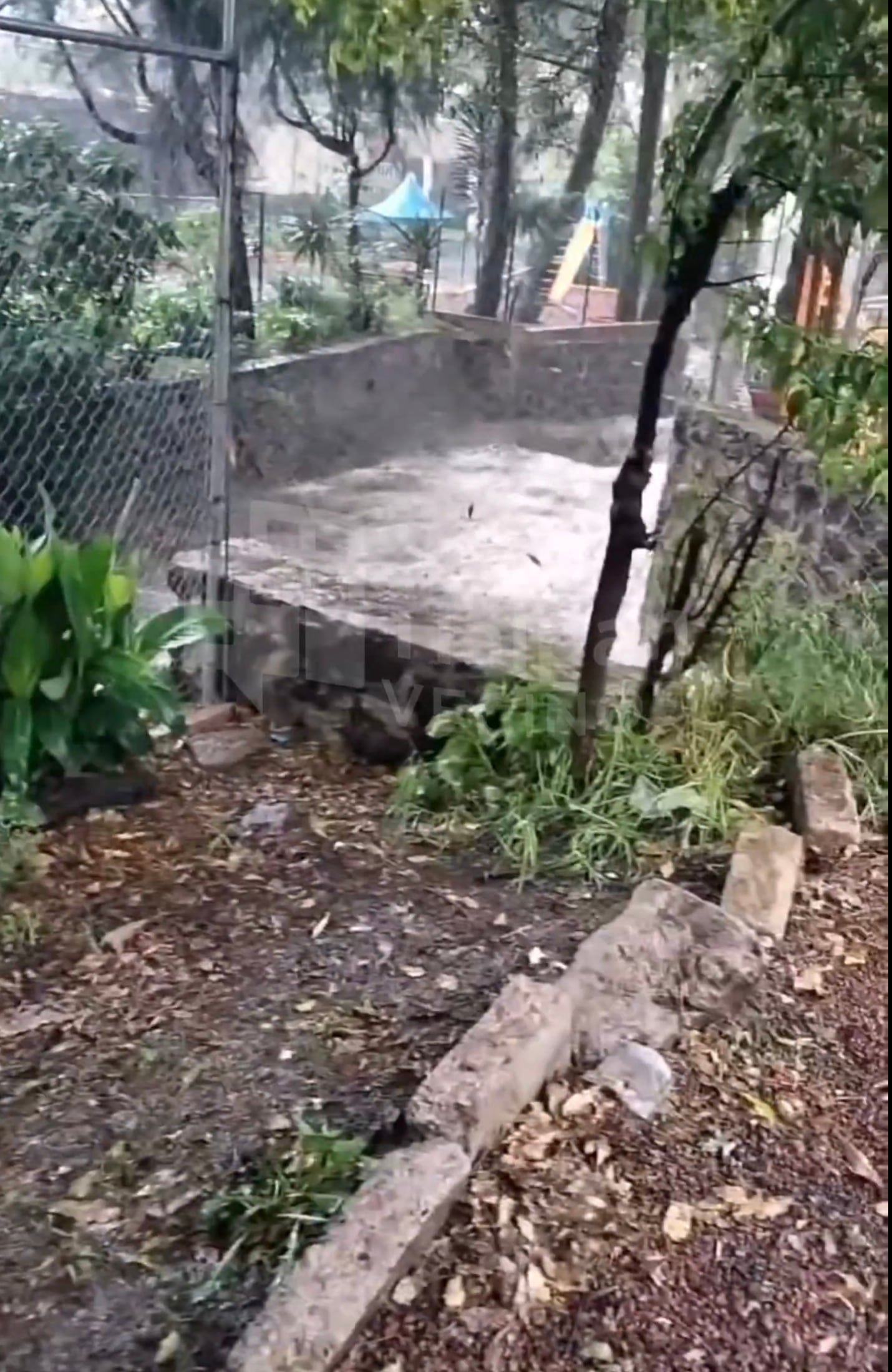 Sur de CDMX bajo el agua: lluvias dejan inundaciones en Tlalpan y Coyoacán