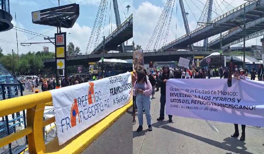 nvwcdnwxiffarauooez7z7ccty AICM advierte a pasajeros sobre manifestaciones; animalistas protestan por el refugio Franciscano
