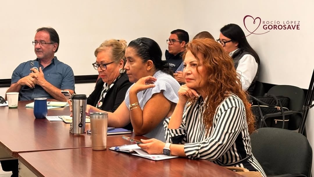 Rocío López Gorosave, diputada federal por Morena