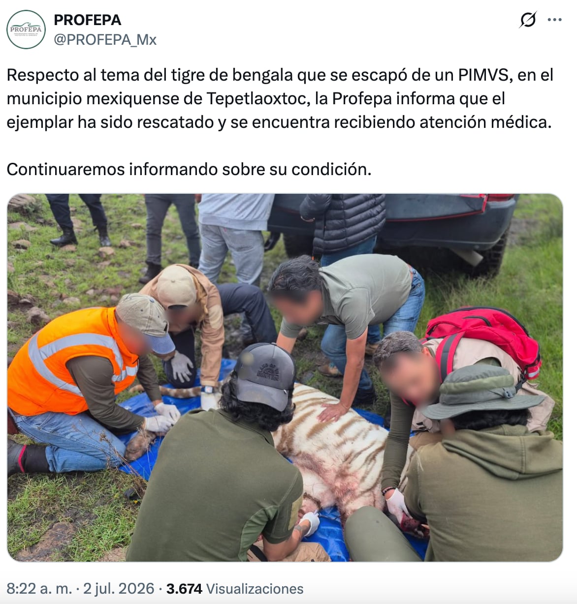 PROFEPA asegura que el tigre Kenzo ya fue capturado