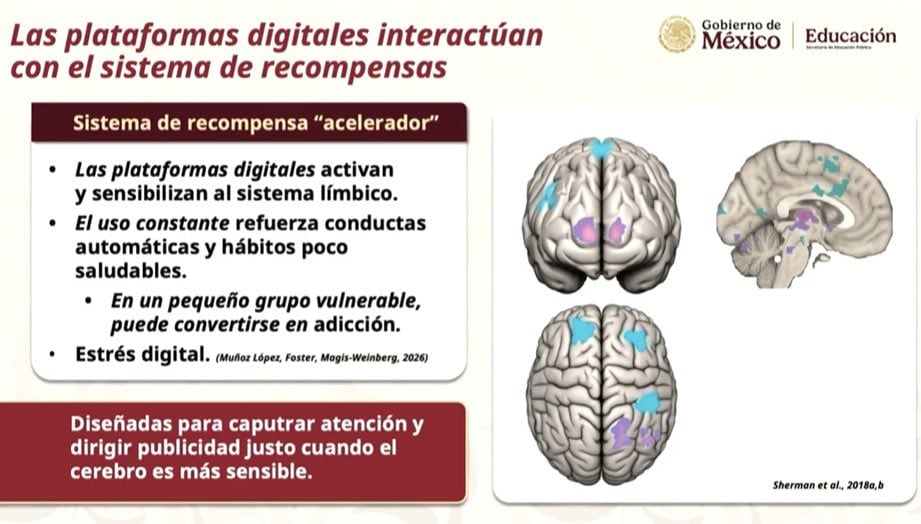blqjshwptfhg3ceg52he7btum4 Estos son los efectos del uso excesivo de celulares en niños y adolescentes