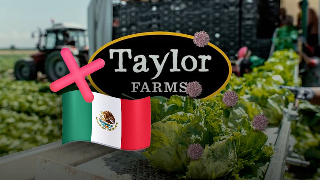 Taylor Farms suspende planta en México tras brote de ciclosporiasis
