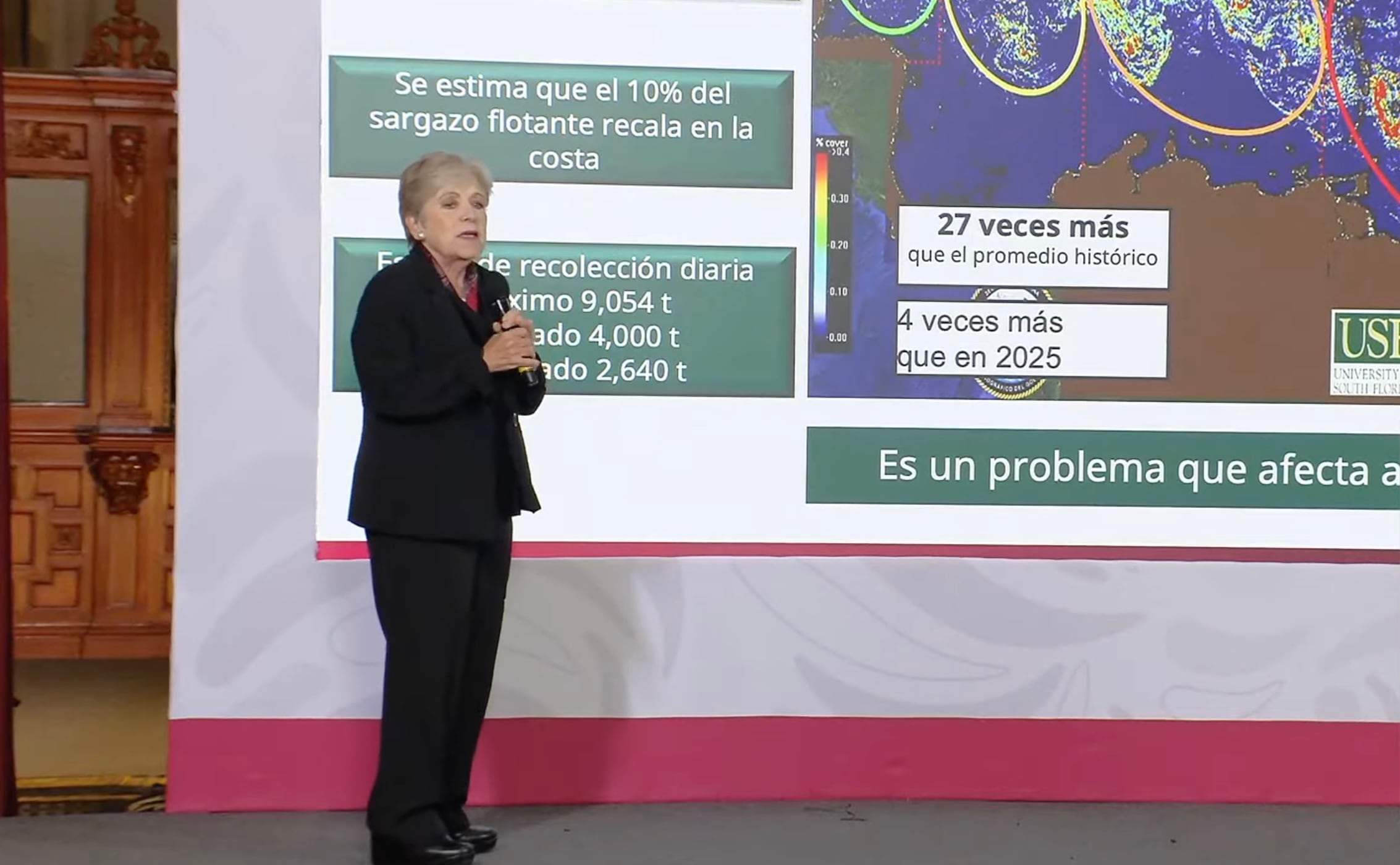 Alicia Bárcena explica el origen del sargazo que afecta a Quintana Roo.