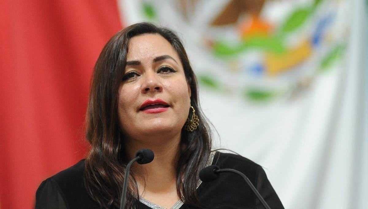 Diputada de Morena busca endurecer penas por maltrato animal tras caso Pedro Sola