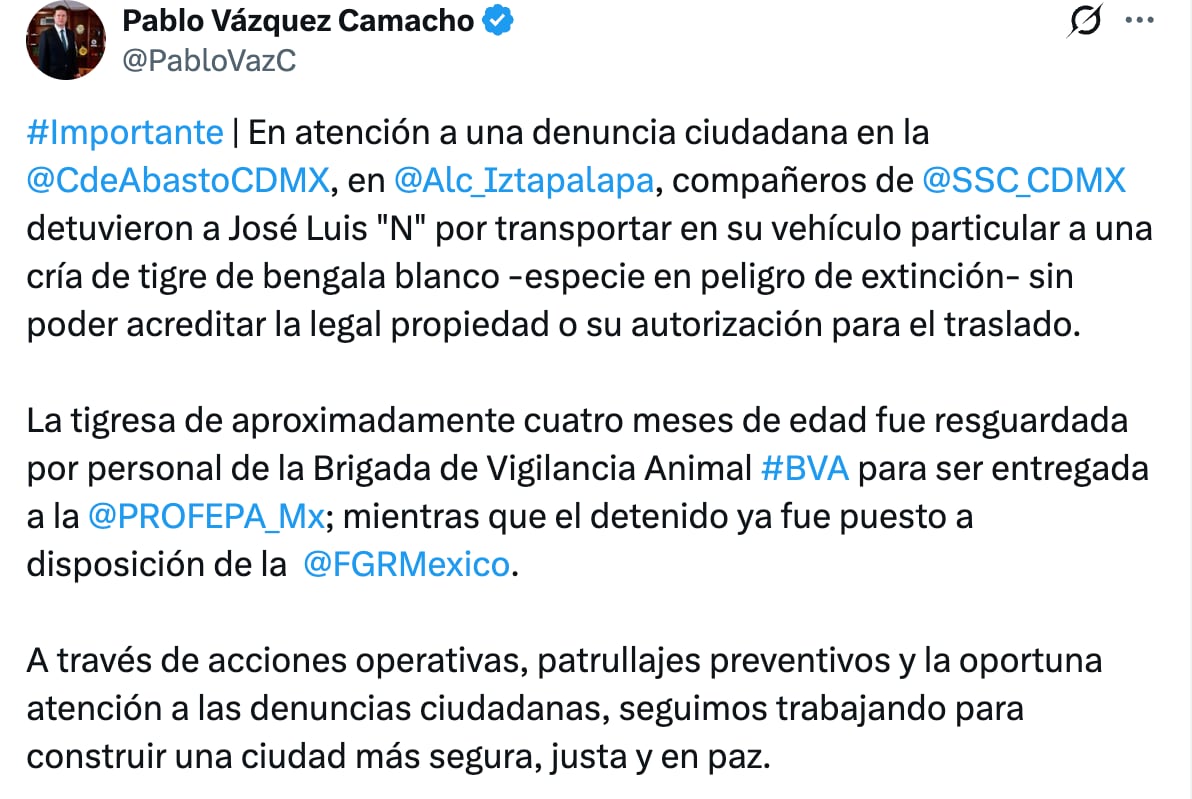 Pablo Vázquez revela la detención de un hombre en posesión de un cachorro de tigre de Bengala blanco en la Central de Abasto en CDMX