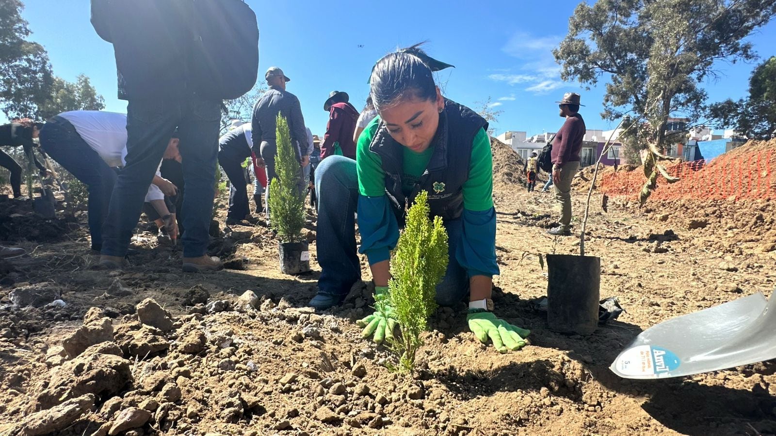 Norma Pimentel encabeza jornada de reforestación en Cuautlancingo.