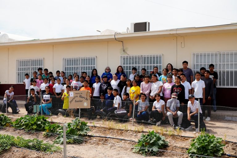 huerto-escolar2028129