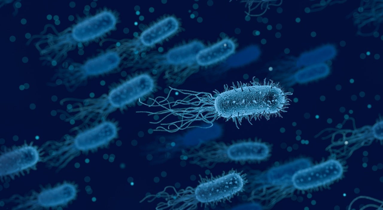 m66jdan75vcsxf5fhm547vuzbm Este extraño virus estomacal genera alertas en Estados Unidos; es resistente a la medicina