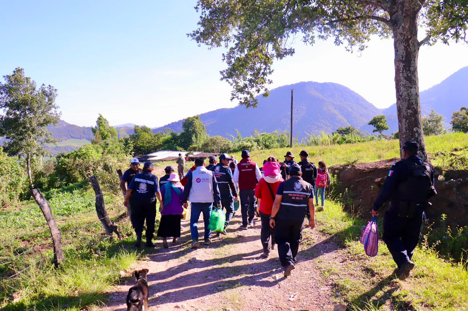 psq6ljsoozaw7dadu4m4ctp7ji Segob informa que desplazados de Guerrero regresan a sus hogares tras acciones de seguridad