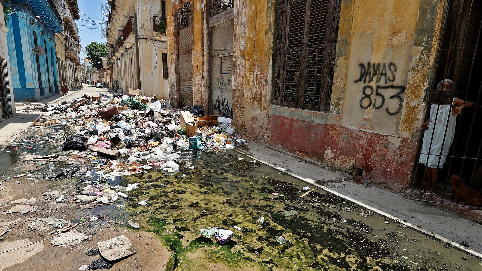 Calle de La Habana con gran acumulación de basura y agua estancada. Edificios deteriorados, uno con grafiti "DAMAS 853". Persona mayor y perro observan desde una ventana con rejas.