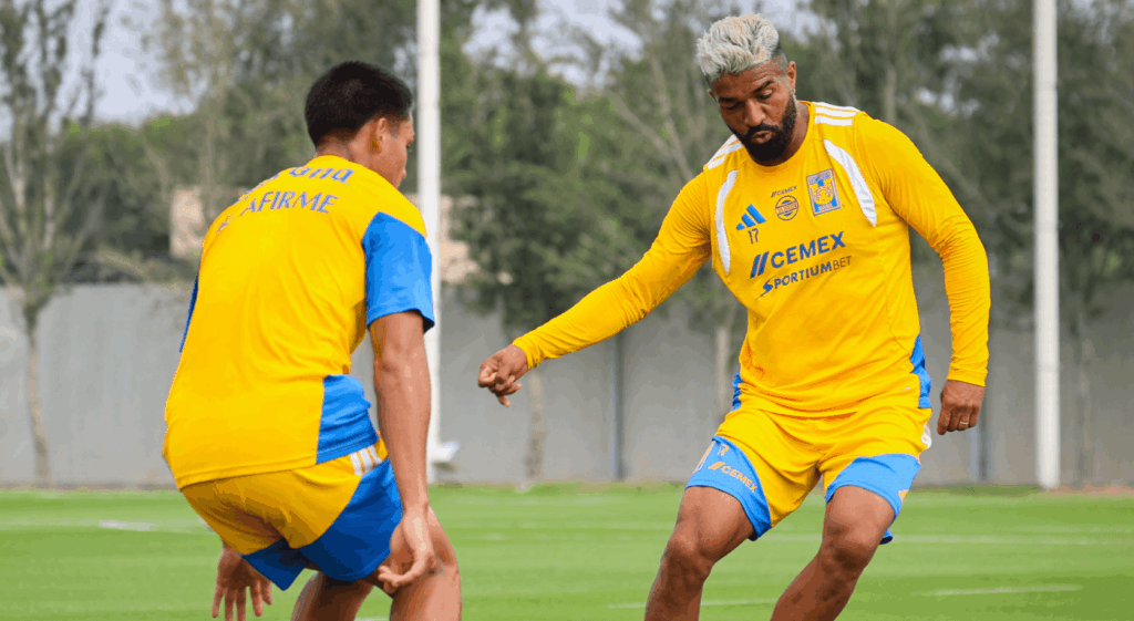 Tigres recibe a Necaxa esta noche en el Estadio Universitario