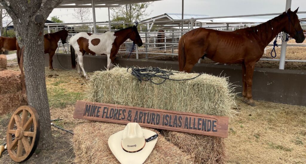 Inauguran el santuario Kawayo para caballos en Linares