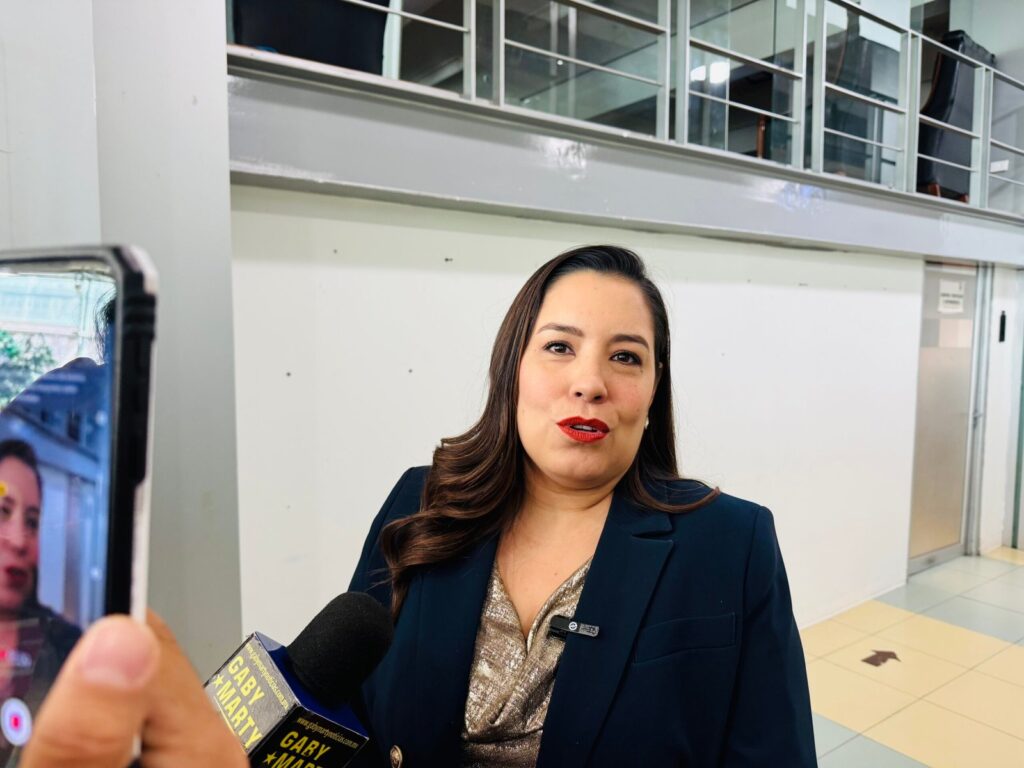 Que restrinjan llamarle “narcopartido” a Morena, no quitará el concepto de la mente colectiva: Presidenta del Congreso