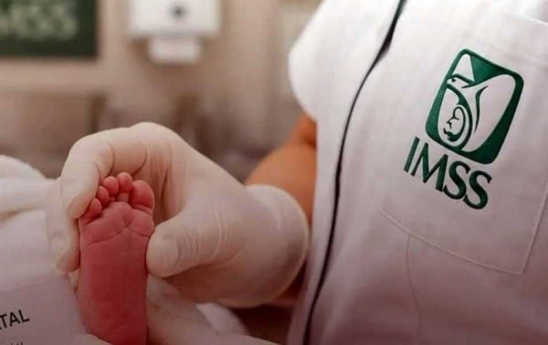 Entrega IMSS dos recién nacidas a familias equivocadas