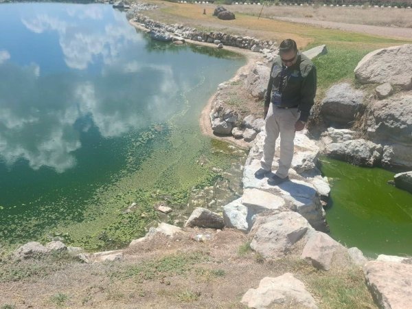 Protección Civil y Desarrollo Urbano inspeccionan agua estancada en Altozano