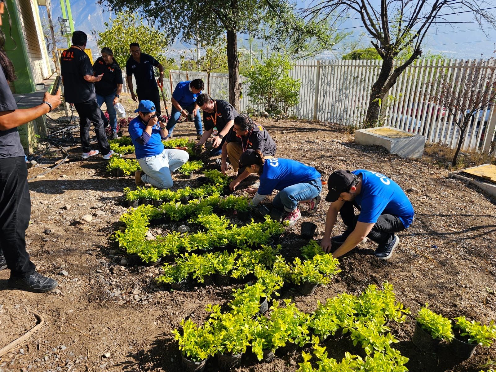 reforestacion_nuevo_leon_septiembre_2026_3_36ef7a7b62-1 Reforestación Nuevo León (Septiembre 2026) (3).jpeg