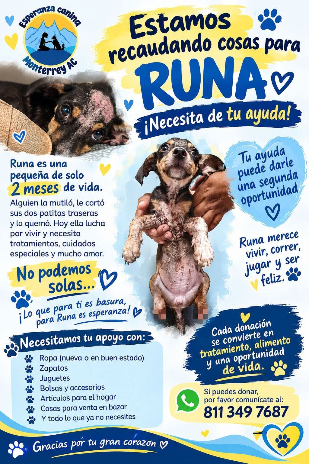 runa_rescate_perrita_3_e1abd775a7 runa-rescate-perrita-3.jpeg