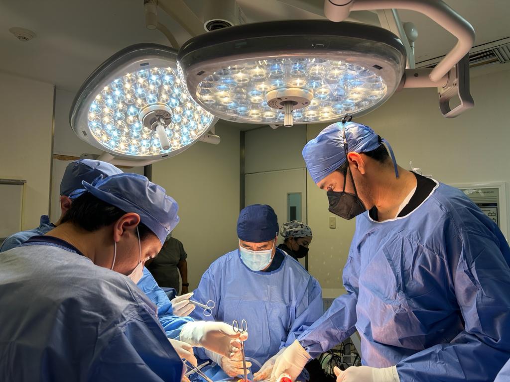 Procura IMSS NL 267 órganos y tejidos en lo que va del año