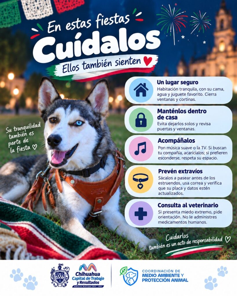 Protege a tus animalitos del ruido de la pirotecnia 