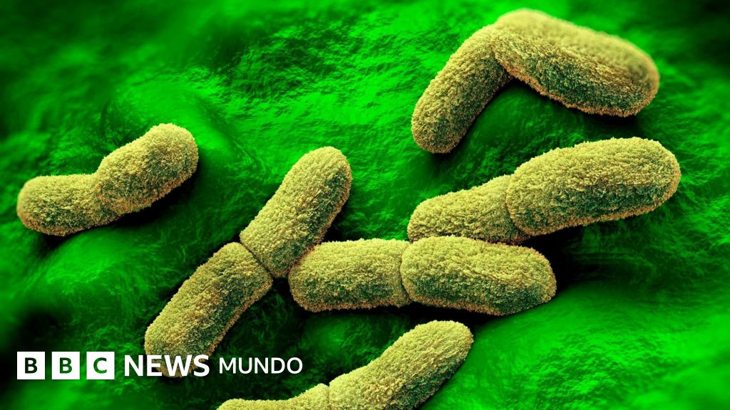 EE.UU. “sigue de cerca” el caso de una científica rusa que falleció en un centro de investigación de la peste en Siberia