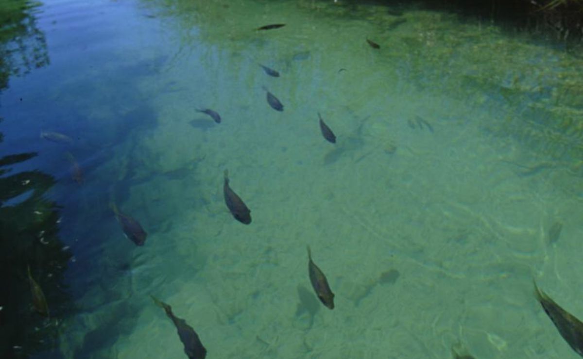 Quintana Roo suma Maya Ka'an como destino imperdible en 2027 - sian-kaan